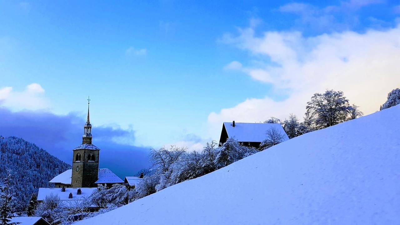 Hotel Chalet La Source Saint-Nicolas-la-Chapelle  Exteriér fotografie